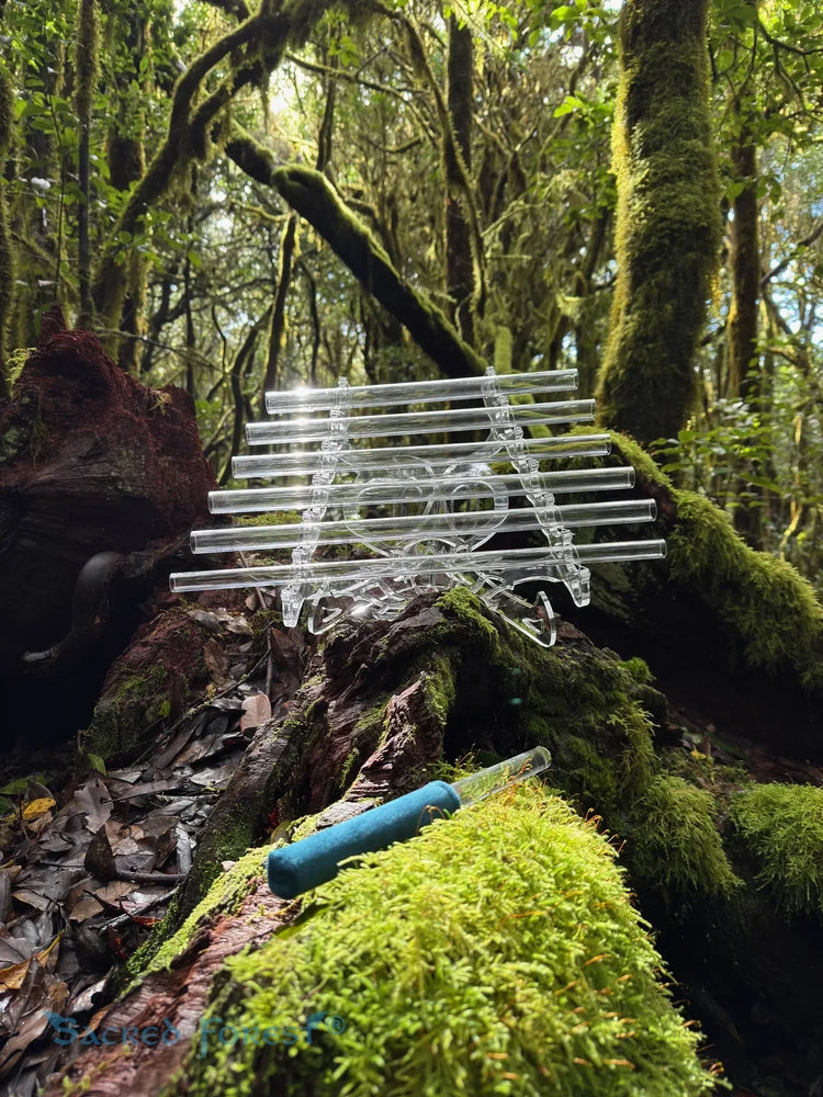Sound healer playing Sacred Forest Crystal Harp in nature