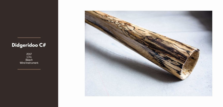 Sever Niedzwiecki artist portfolio page 26, painting sculpture and instruments by Sacred Forest co-founder