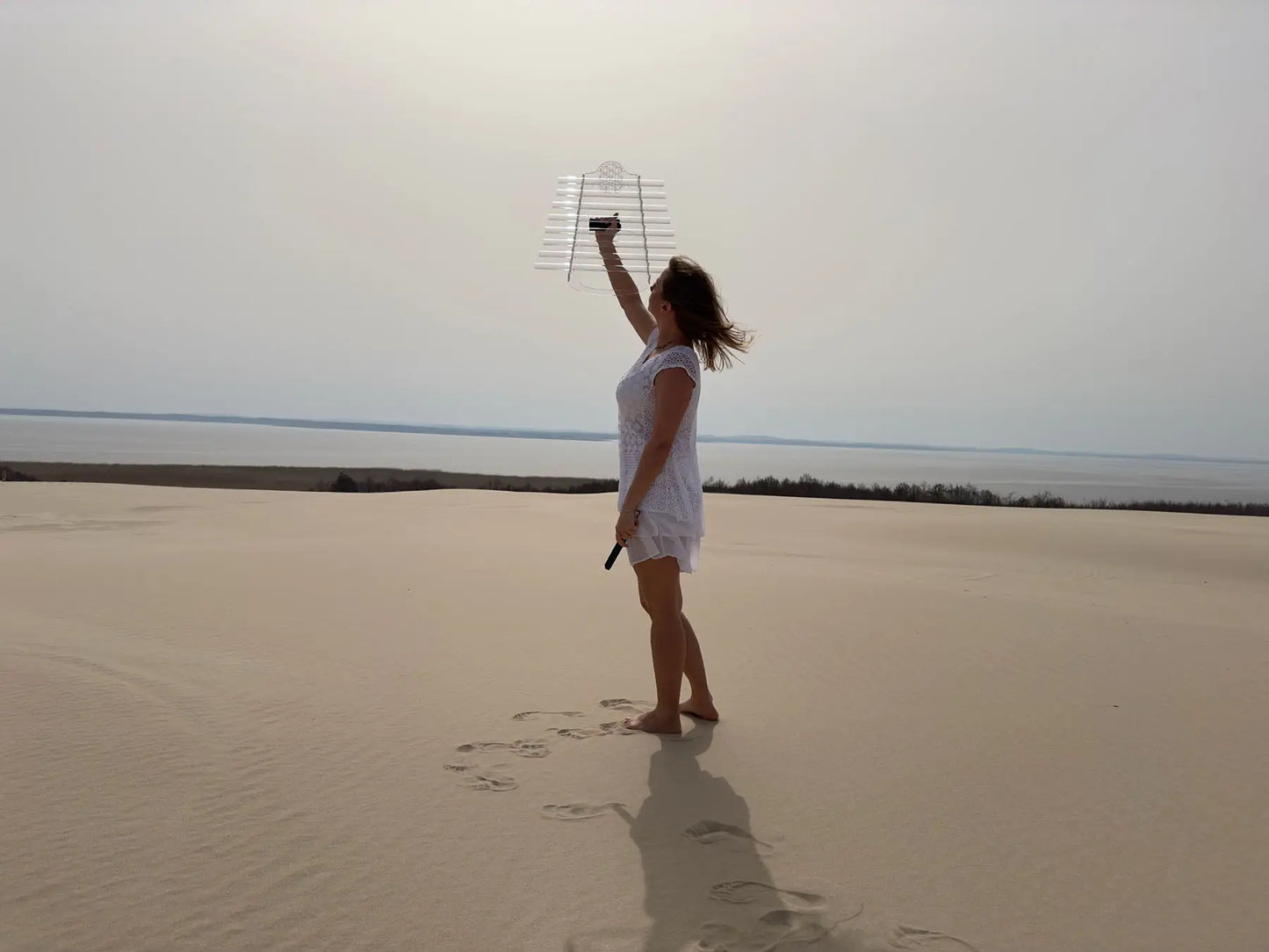 Crystal Harp played by many sound healers around the world