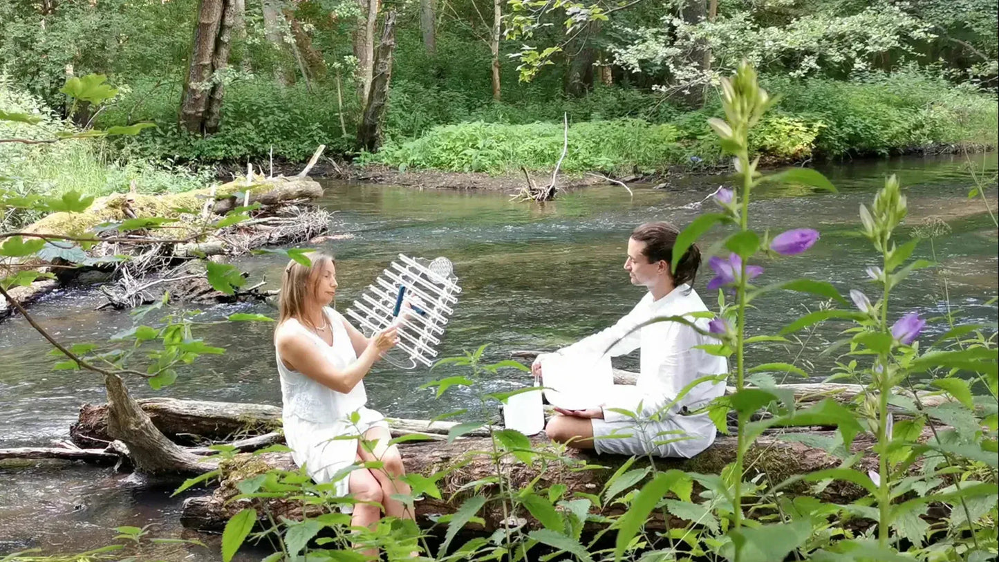 Natalia playing Crystal Harp for Sever seated on log by forest river, wide panoramic view