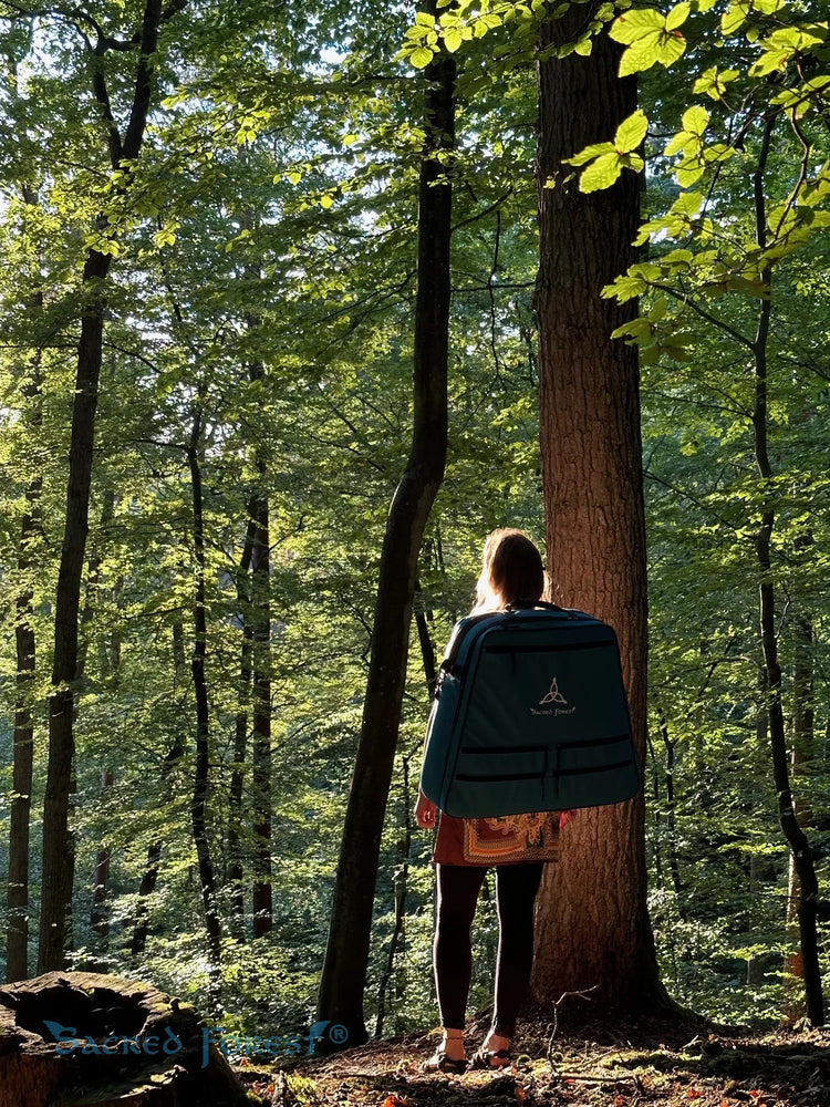 
                    
                      Celtic Moon D Crystal Harp by Sacred Forest in the backpack in the forest in Poland
                    
                  