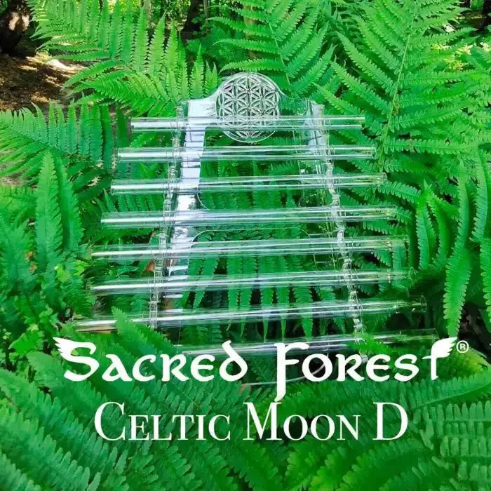 Sacred Forest Celtic Moon D crystal harp among green ferns in a forest