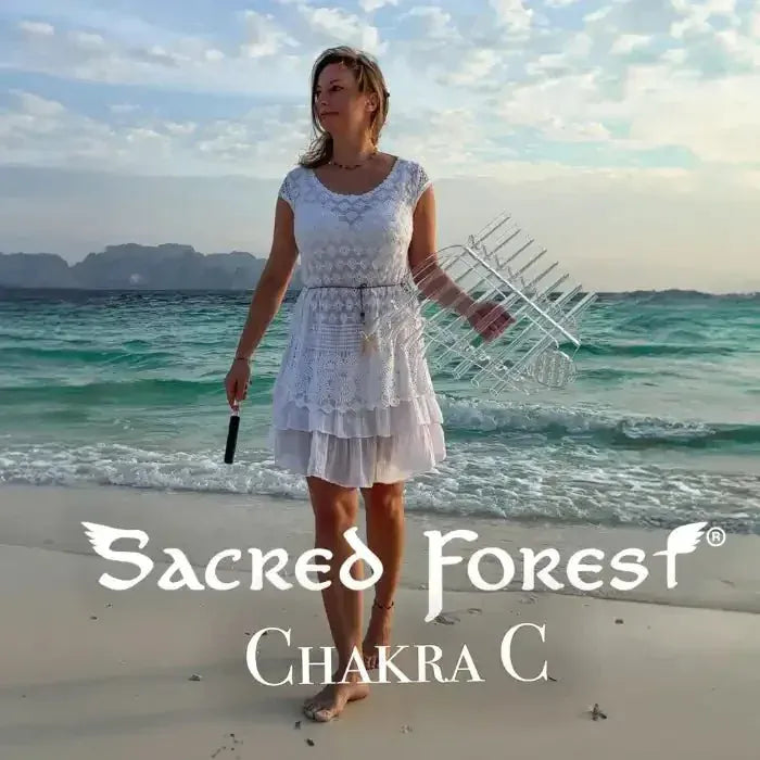 Sacred Forest Chakra C crystal harp with eight quartz tubes