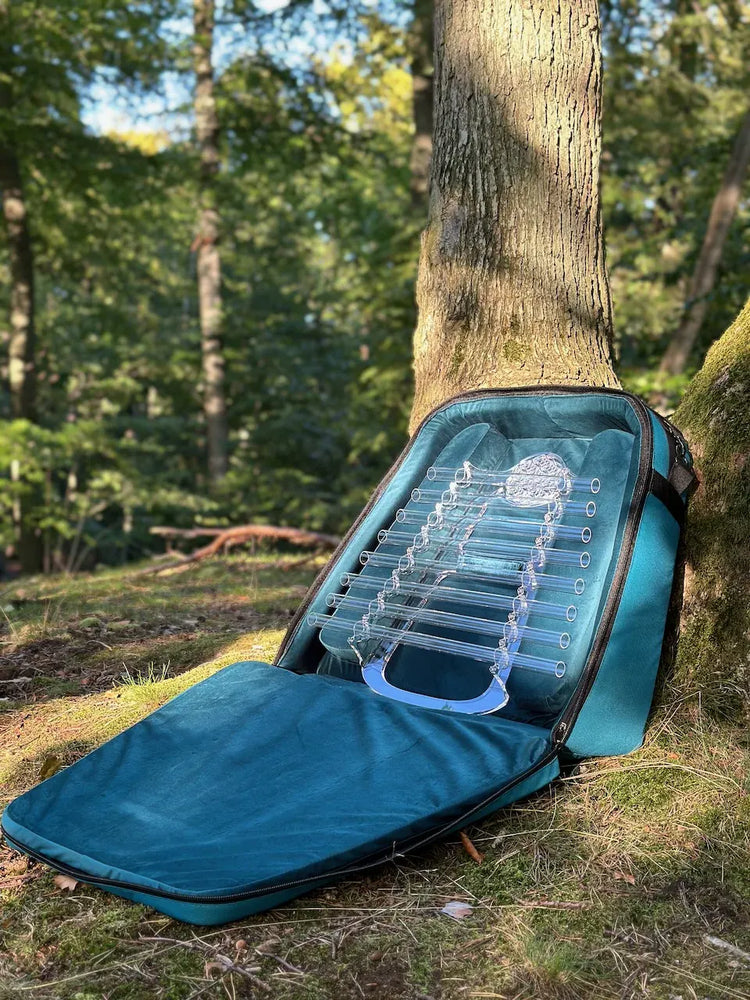 
                    
                      Crystal Harp in teal carrying case leaning against mossy tree trunk in woodland setting
                    
                  