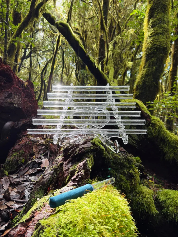 
                    
                      Lotus C# Sacred Forest Travel Crystal Harp 432 hz placed on green moss in an ancient Macaronesian forest professional instrument for meditation
                    
                  