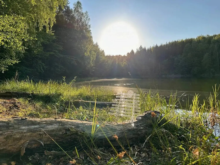 Crystal harp sitting on a mossy log by a calm forest lake at sunrise, sun reflecting on water surface surrounded by trees