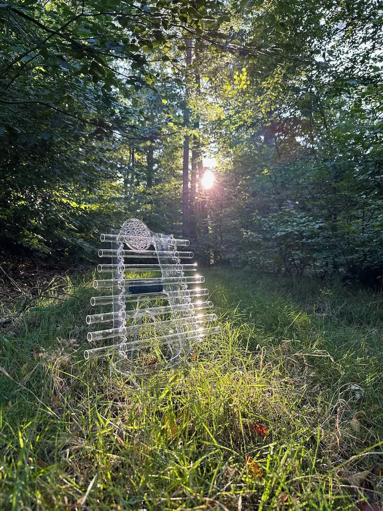
                    
                      Crystal Harp positioned in sun-drenched forest clearing with light filtering through green leaves
                    
                  