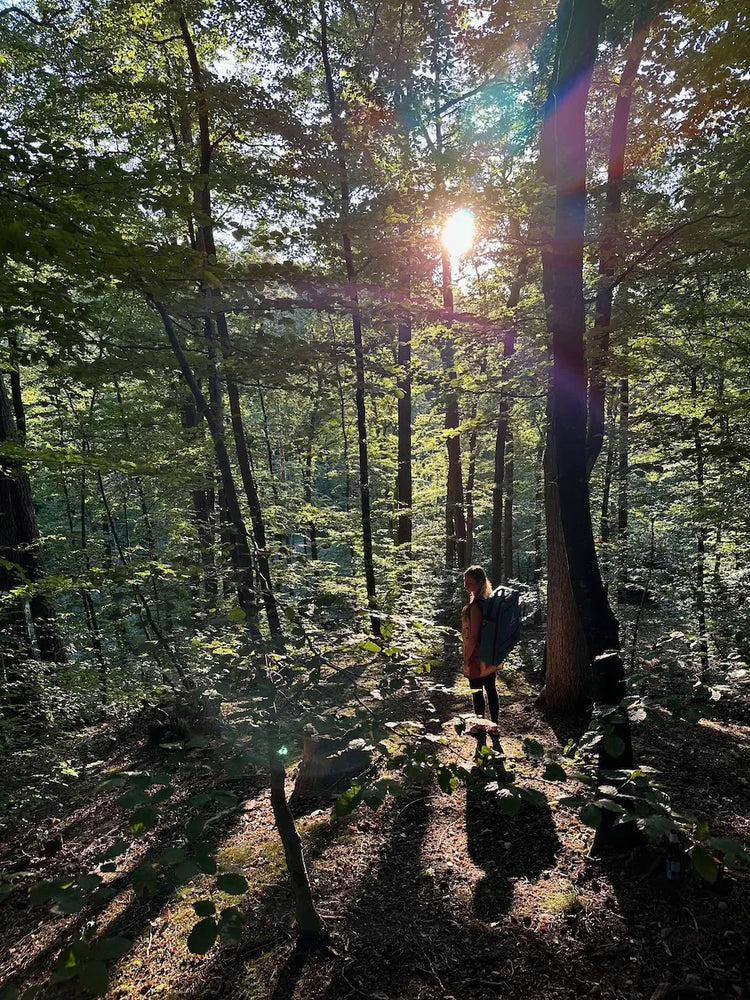 
                    
                      Natalia wearing teal Sacred Forest backpack walking through sunlit forest trail
                    
                  