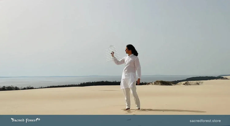 
                    
                      Sever with Crystal Harp walking through sand dunes 8
                    
                  