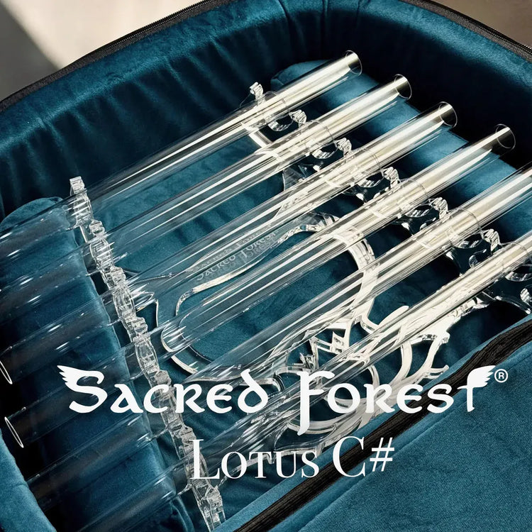 
                    
                      Travel Crystal Harp Lotus - portable 6-note quartz instrument for sound healers inside elegant protective turquoise velvet bag
                    
                  